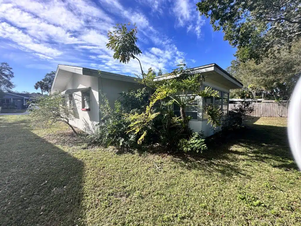 A house in Dunedin with overgrown weeds and trees